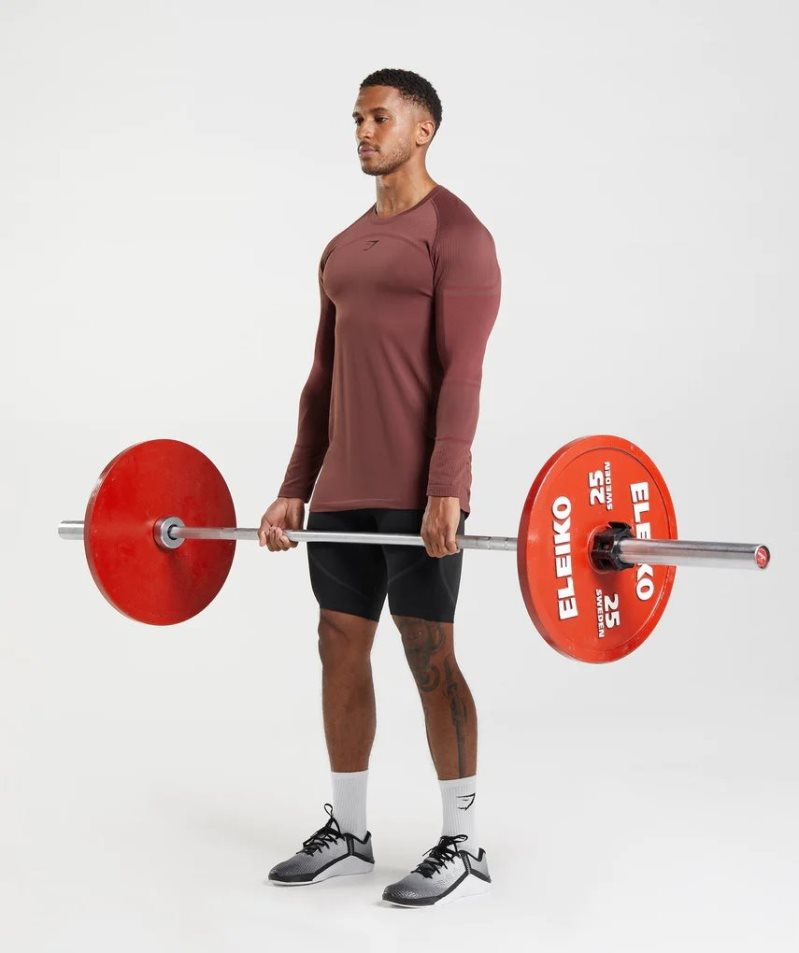 Men's Gymshark 315 Long Sleeve T-Shirts Brown | NZ 5LDJFS